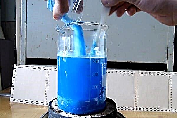 Белый налет на листьях петунии: чем лечить и как с ним бороться